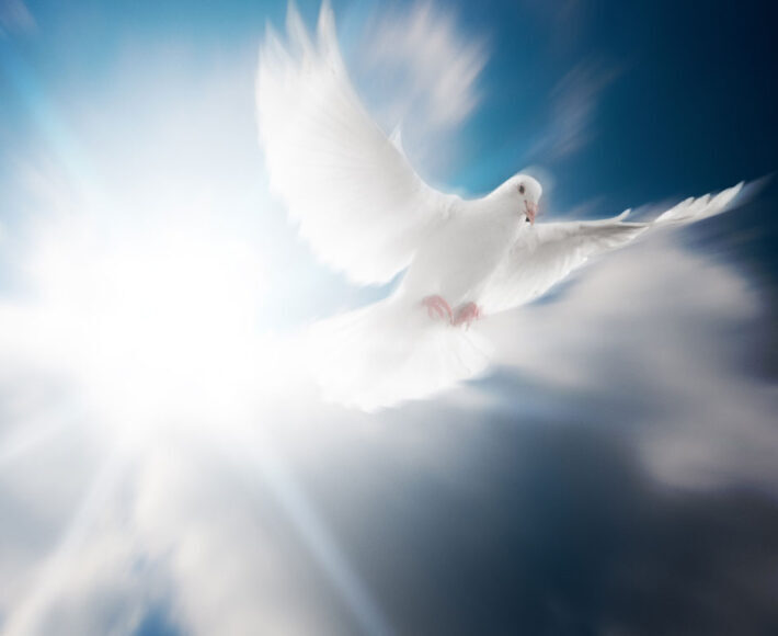 https://brzojav.sucut.hr/wp-content/uploads/2025/01/blog01-710x580-1-710x580.jpg